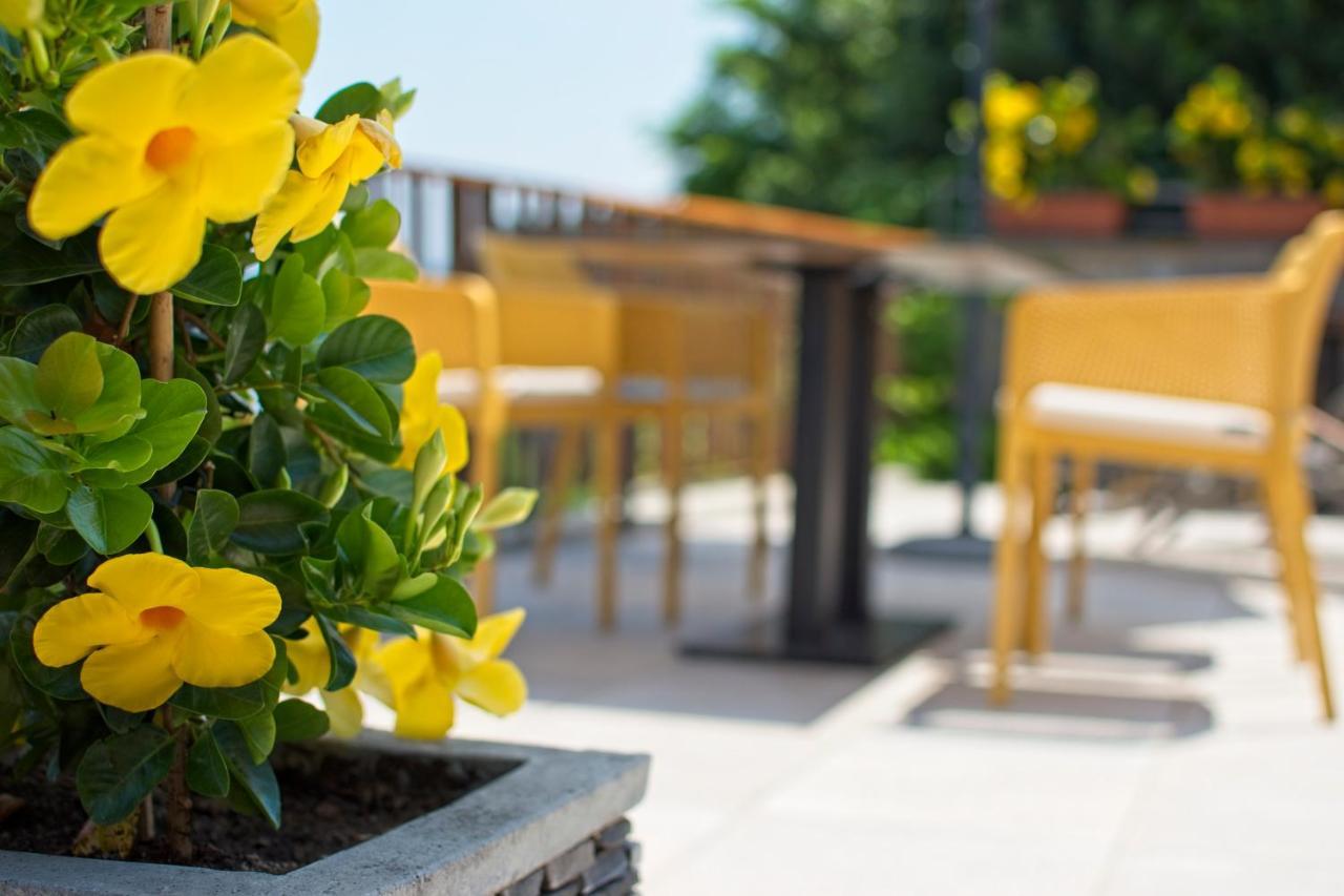 Sea View Guesthouse Opara ไพราน ภายนอก รูปภาพ