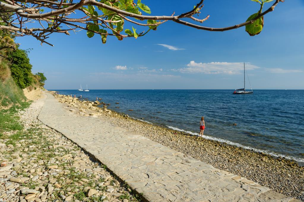 Sea View Guesthouse Opara ไพราน ภายนอก รูปภาพ